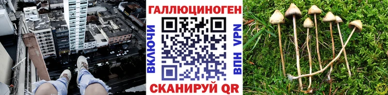 Псилоцибиновые грибы Cubensis  где купить наркоту  Краснокамск 